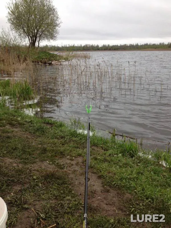 Crucian carp — Rayskoye, May 10, 2017