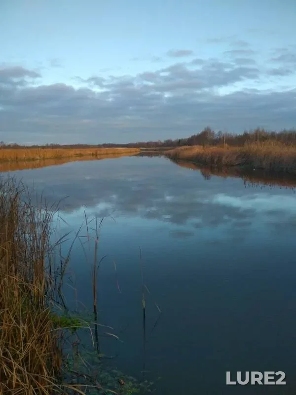 Pike — Ptich, Oct 28, 2019
