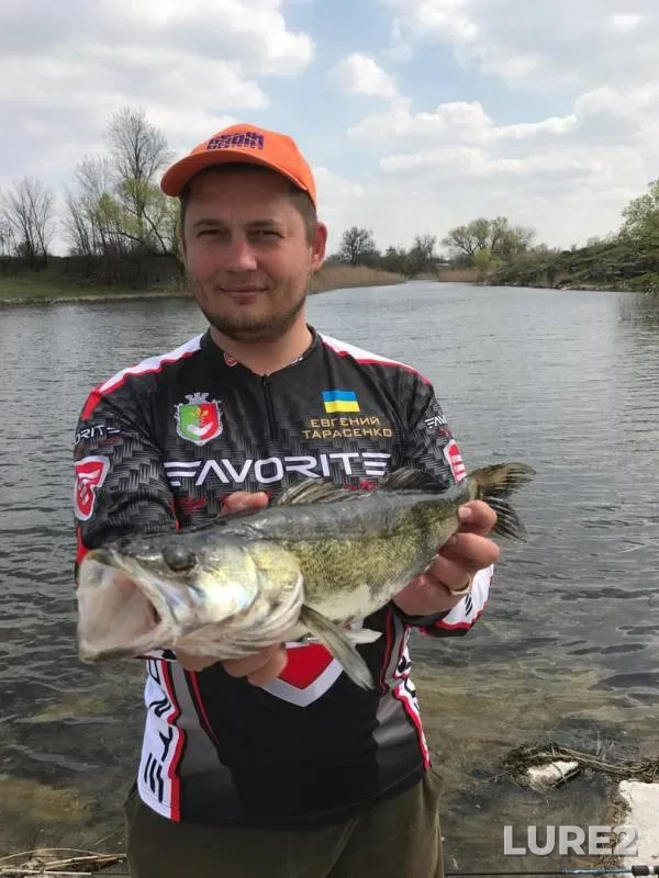 Pike, Zander — Saksagan, Apr 12, 2017