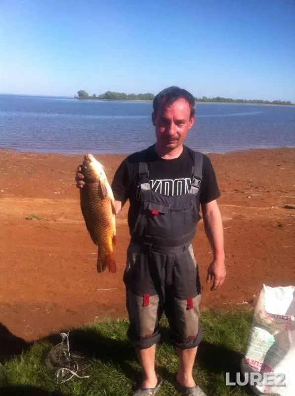 Bream, Wels catfish — Respublika Tatarstan, May 18, 2014