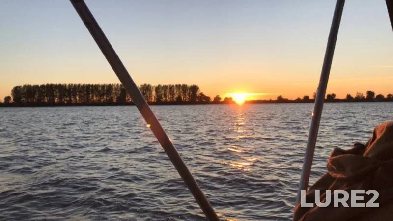 Wels catfish, Perch — Belinskiy bank, Oct 12, 2019
