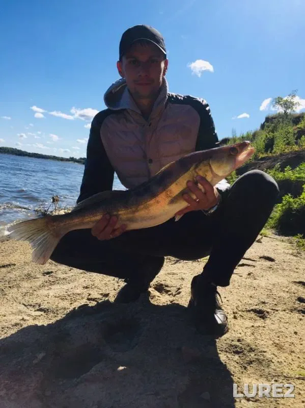 Zander — Oka, Jun 25, 2019