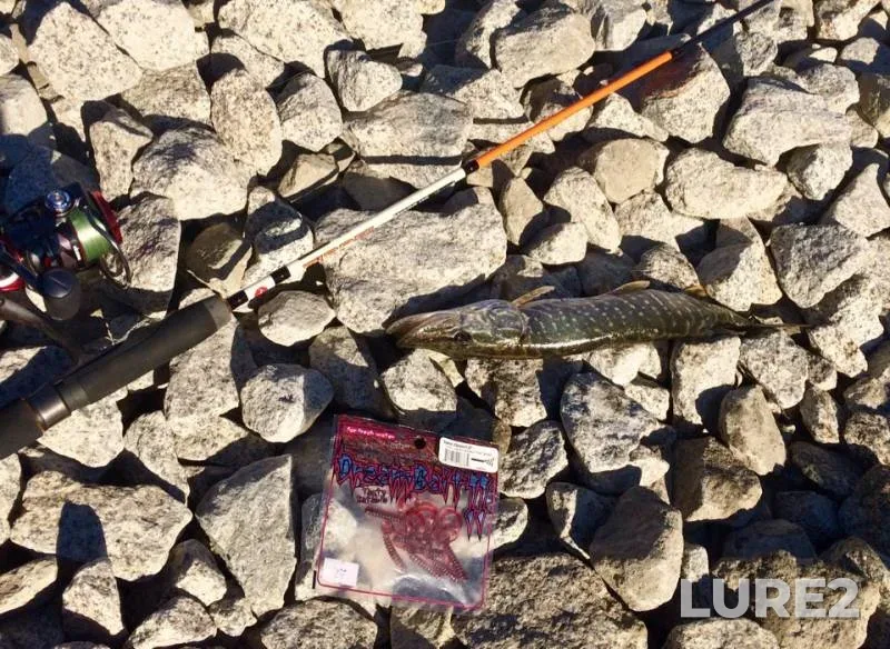 Perch, Pike — Ob, Oct 14, 2018