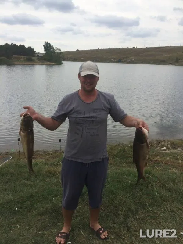 Silver carp — Chekur-Eli, Aug 18, 2019