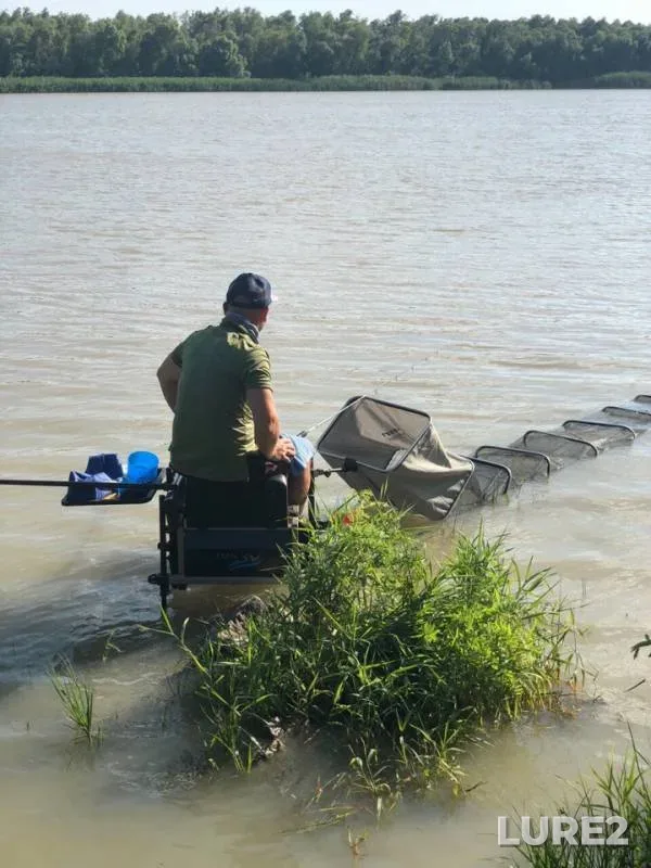 Bream, Wels catfish — Kislitskiy rukav, Aug 06, 2018