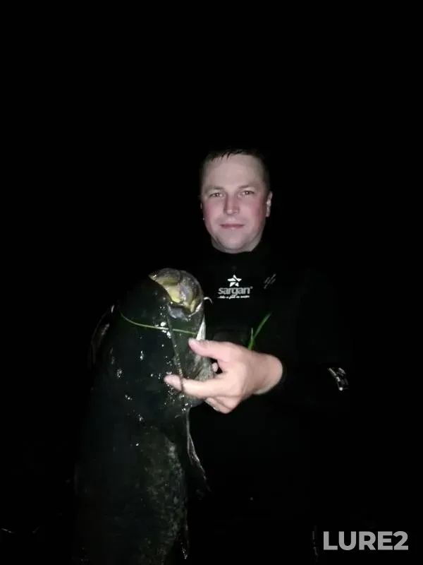Wels catfish, Pike — Kostromskaya oblast, Aug 10, 2019