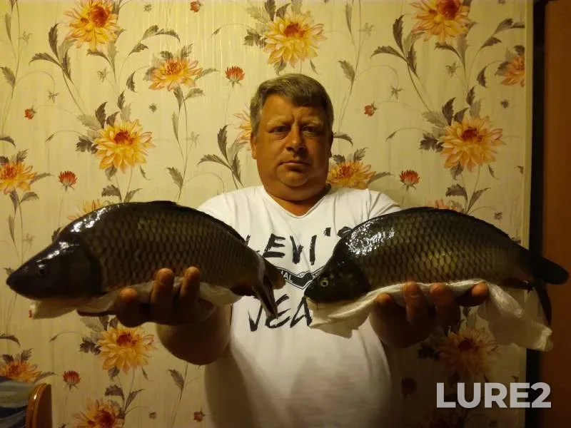 Carp — Tambovskaya oblast, Tambovskiy munitsipalnyy okrug, May 29, 2017