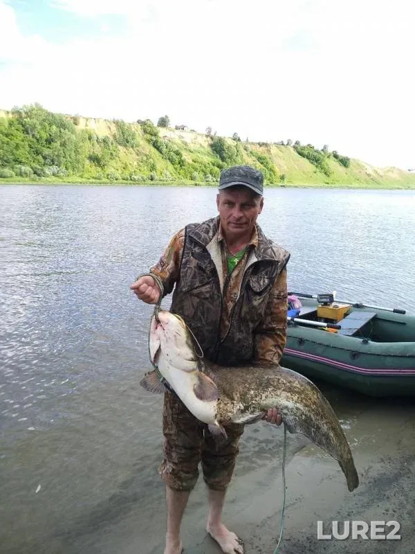Wels catfish — Oka, Jun 25, 2019