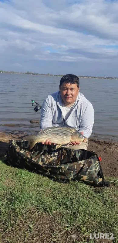 Carp — Samarskaya oblast, May 04, 2019