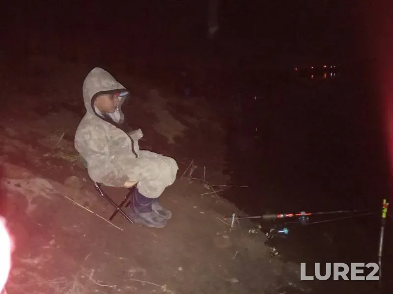 Crucian carp — Kenon, Jun 11, 2019