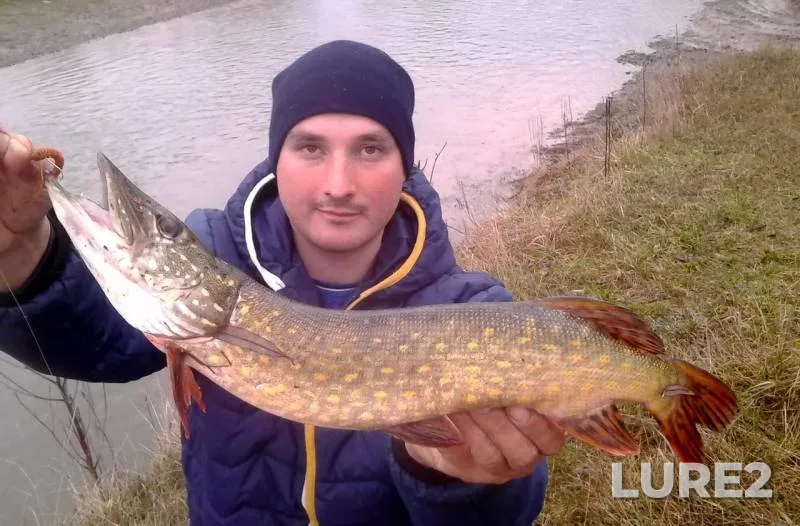 Pike — Malyy Siret, Mar 15, 2016