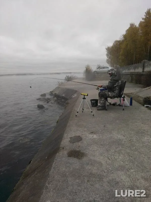 Bleak, Crucian carp — Desna, Oct 07, 2019
