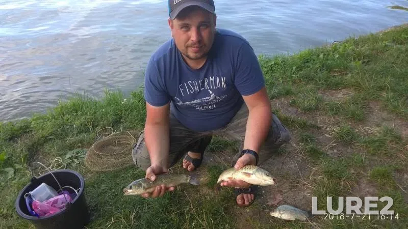 Crucian carp — Komsomolskiy, Jul 24, 2018