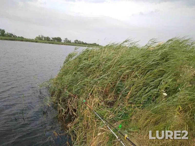 Crucian carp — Stavropolskiy kray, Jul 21, 2017