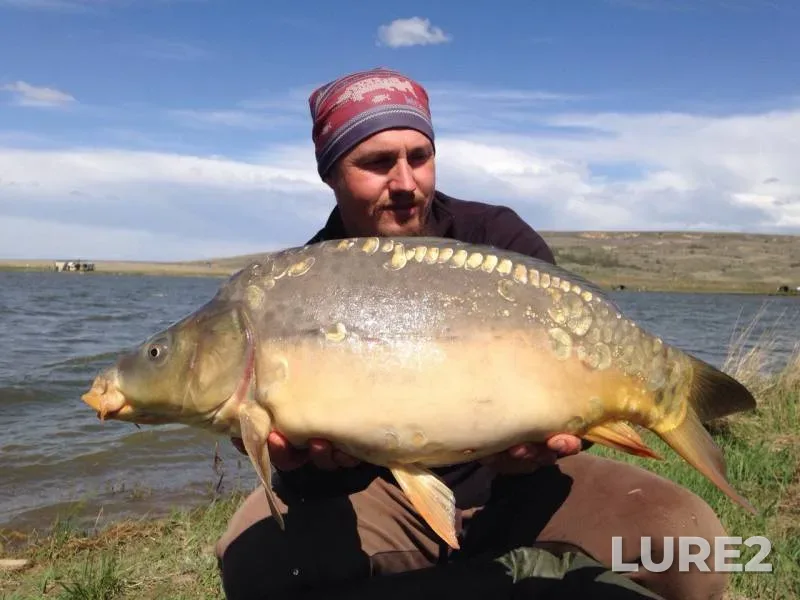 Carp — Razliv, Apr 19, 2017