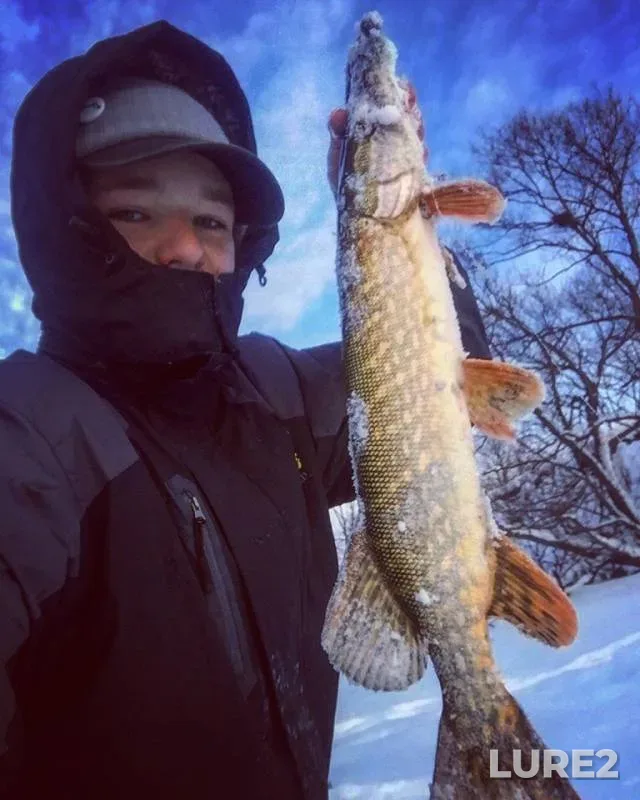 Pike — Moskva, Jan 13, 2019