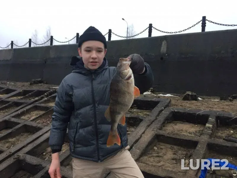 Perch — Moskva, Mar 24, 2018