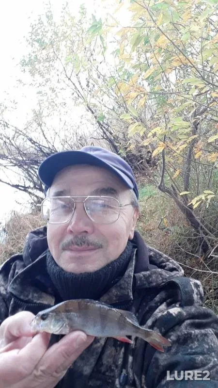Perch — Kama, Oct 14, 2019