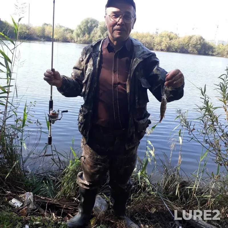 Perch — Permskiy kray, Sep 14, 2019