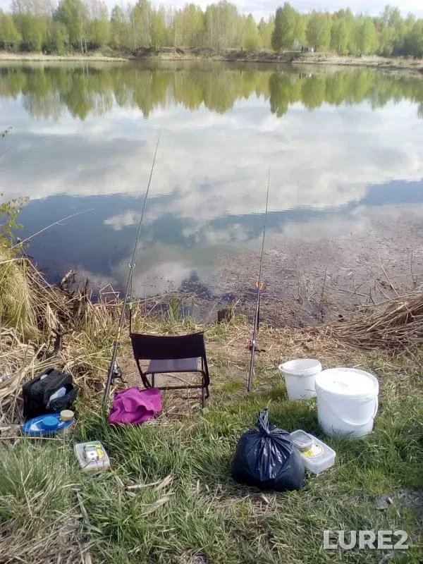 Bream, Roach — Zatolych, May 22, 2019