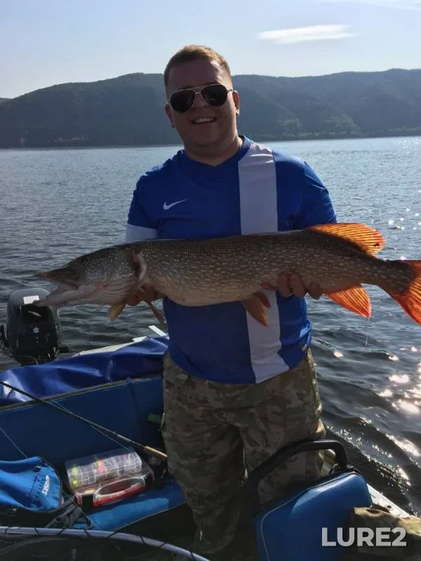 Asp, Pike — Volga, Sep 11, 2018