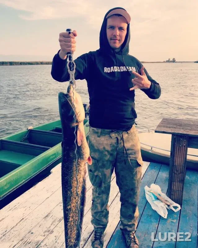 Wels catfish — Gandurino, Oct 18, 2019