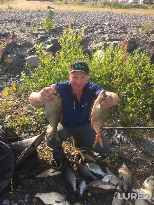 Bream — Leningradskaya oblast, Jul 22, 2019