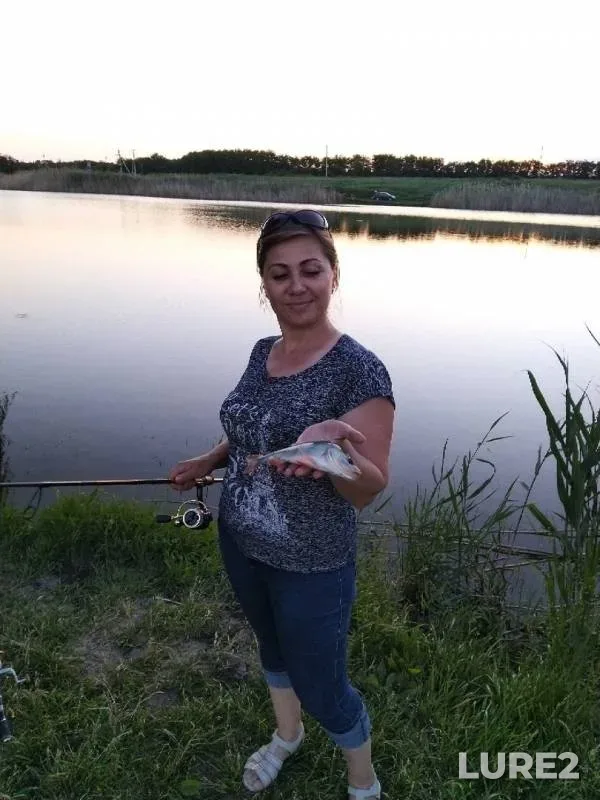 Perch, Zander — Rostovskaya oblast, Jun 04, 2019