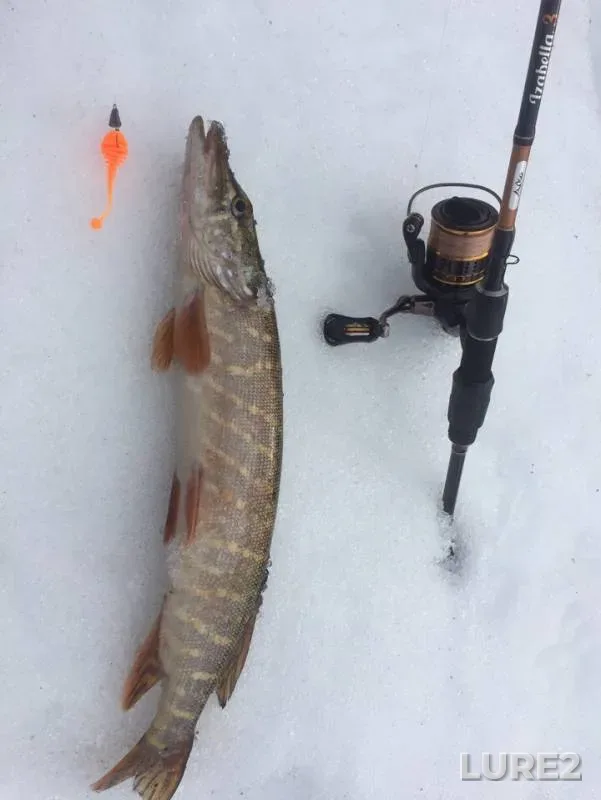 Pike — Meza, Apr 09, 2019