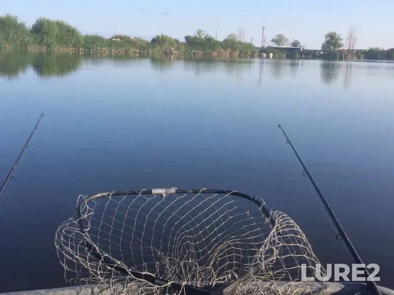 Carp, Perch — Samarskaya oblast, Jul 23, 2019