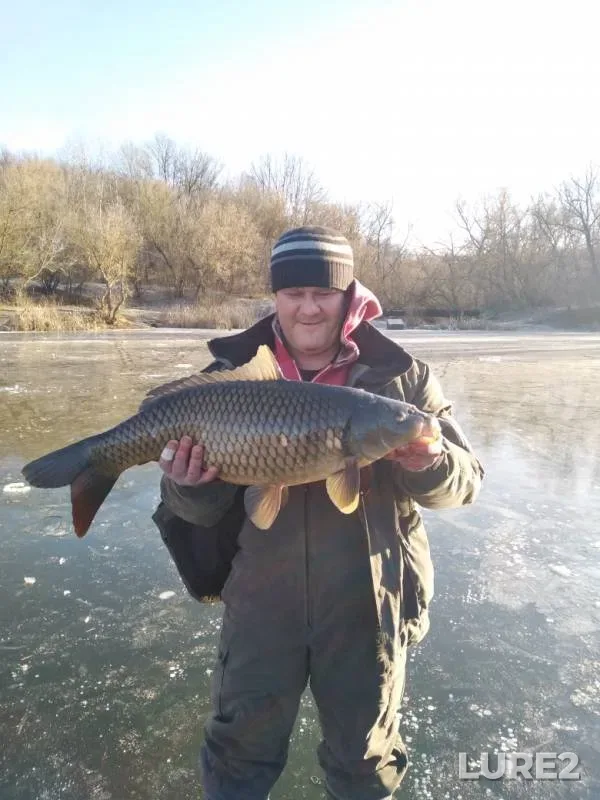 Carp — Chernikin, Nov 25, 2019
