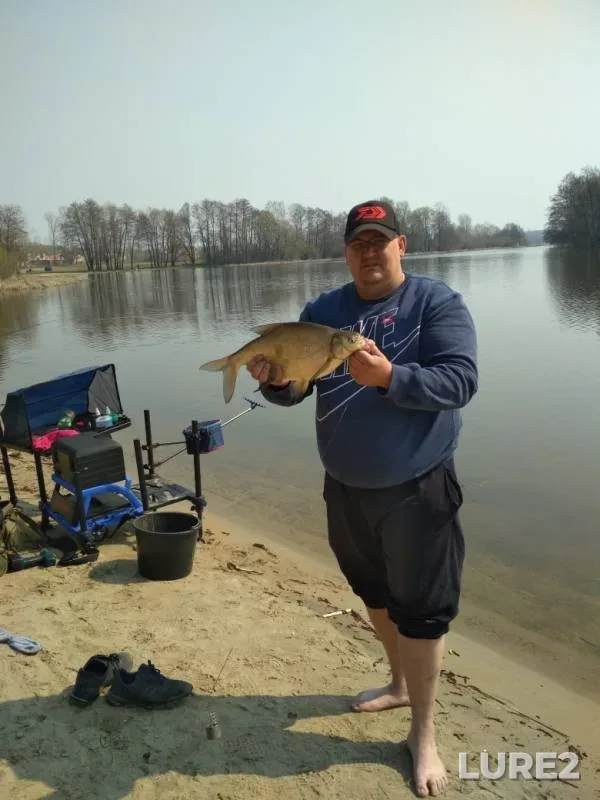 Bream — Voronezh, Apr 20, 2019