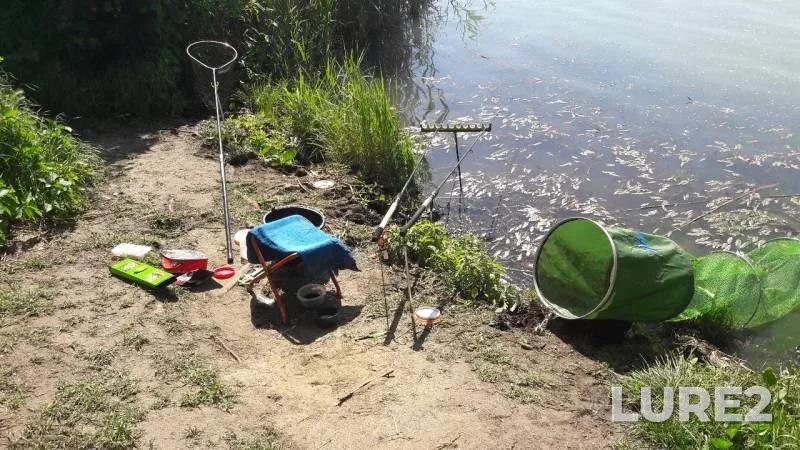 Bream, Crucian carp — Staraya Kuban, May 16, 2019