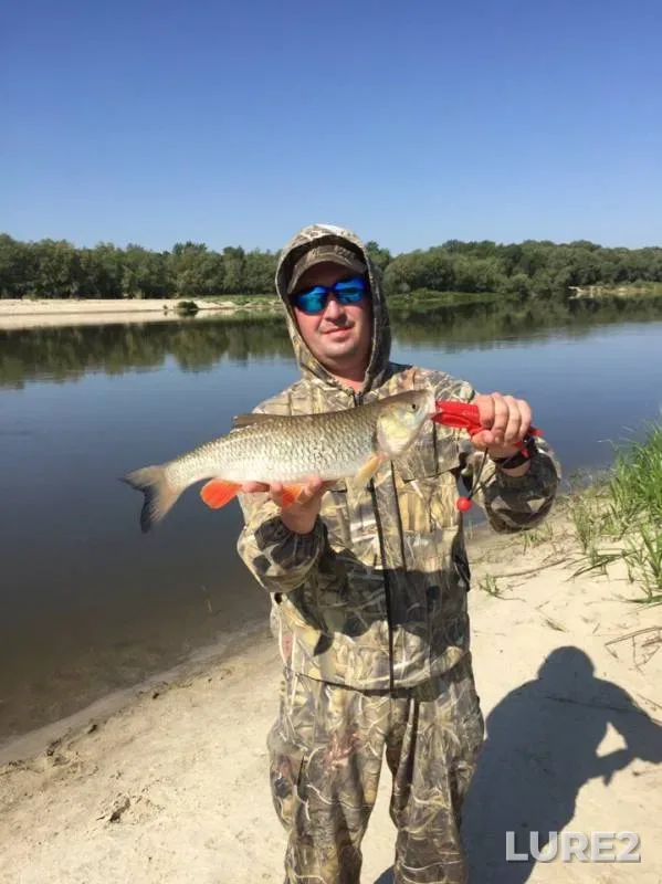 Asp, Bream — Don, Jun 13, 2019