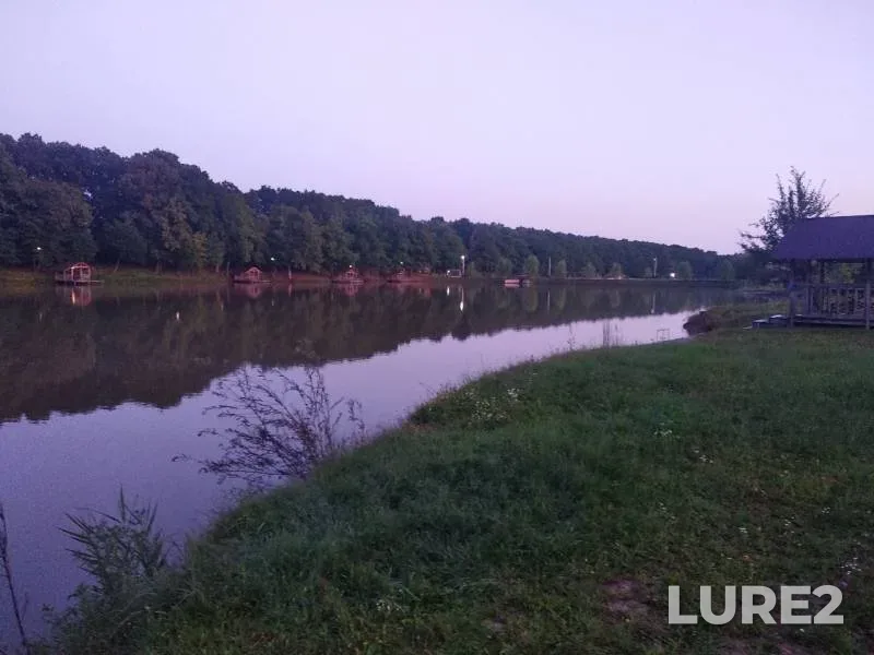 Carp — Krasnodarskiy kray, Aug 06, 2019