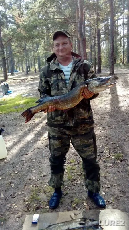 Pike — Vysokinskoye, Sep 11, 2019