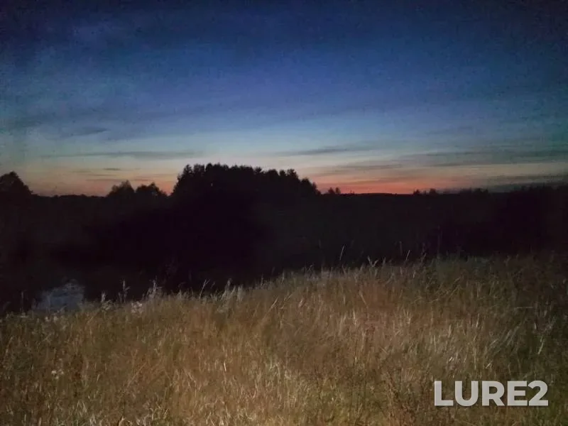 Chub, Perch — Pronya, Aug 05, 2019