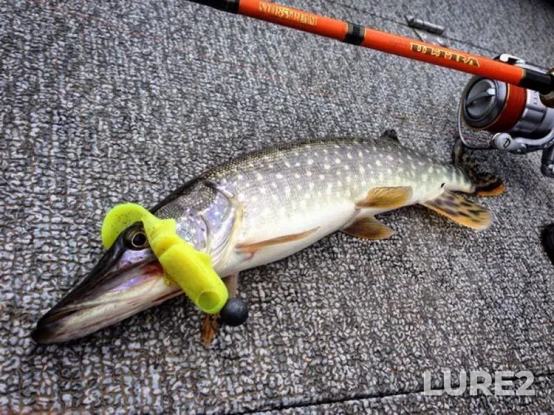 Perch, Pike — Tyoplyy kanal, Dec 27, 2016
