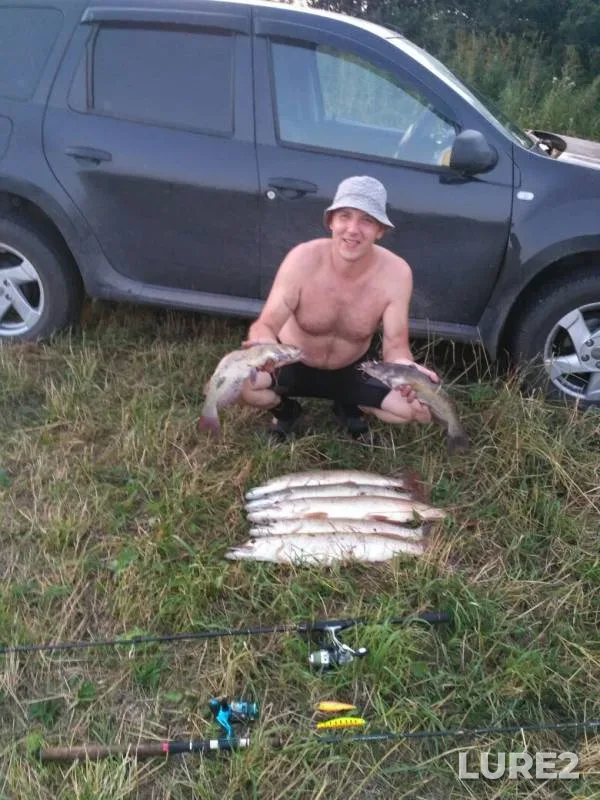Pike — Kemerovskaya oblast, Aug 04, 2019