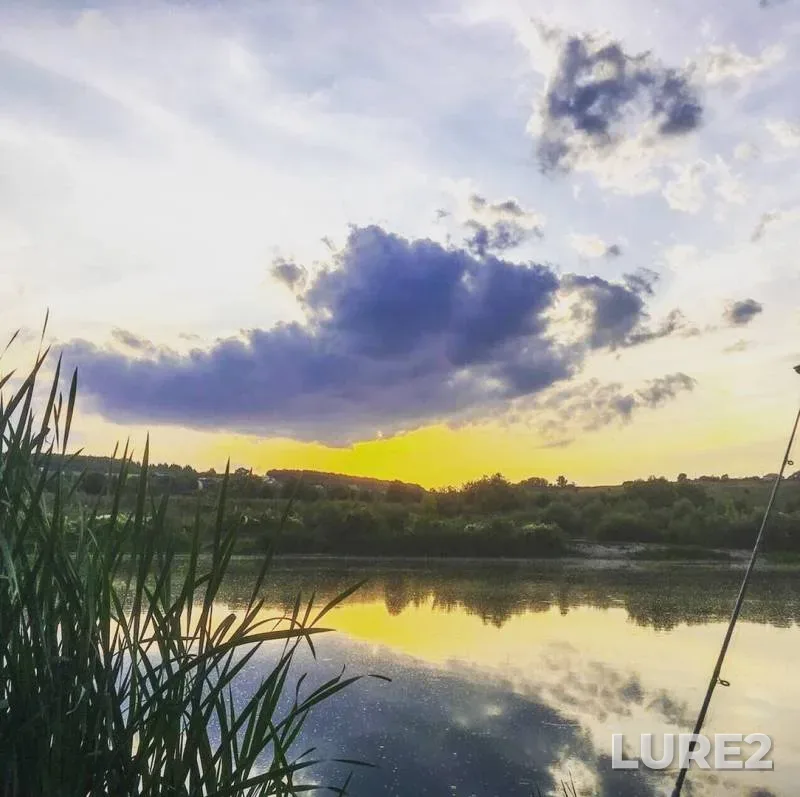 Wels catfish, Crucian carp — Don, Aug 02, 2019