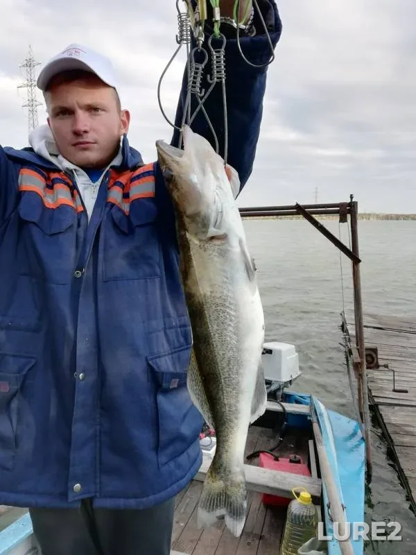 Zander — Voronezh, Sep 28, 2019