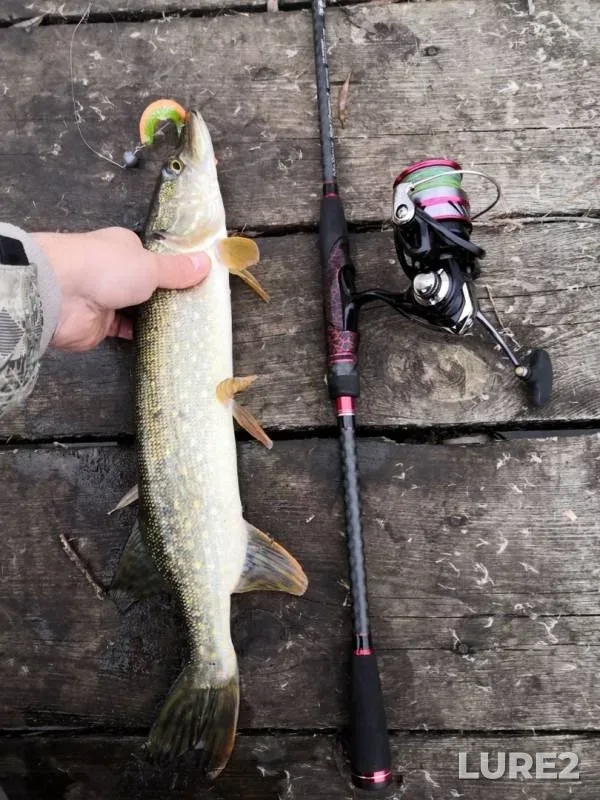 Pike — Zarosshiy, Nov 10, 2019