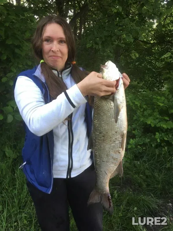 Asp — Pravdinskoye vodokhralilishche, May 26, 2019