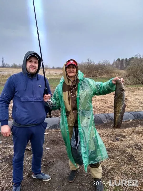 Wels catfish, Pike — Voronezh, Apr 14, 2019