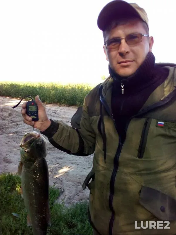 Asp — Shchelinka, Aug 28, 2019