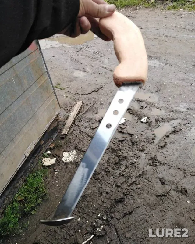 Wels catfish — Volgo-Baltiyskiy kanal, Jul 30, 2019