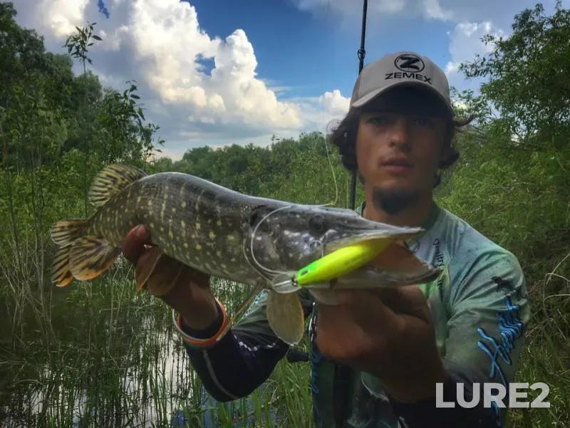 Pike — Desna, May 14, 2019
