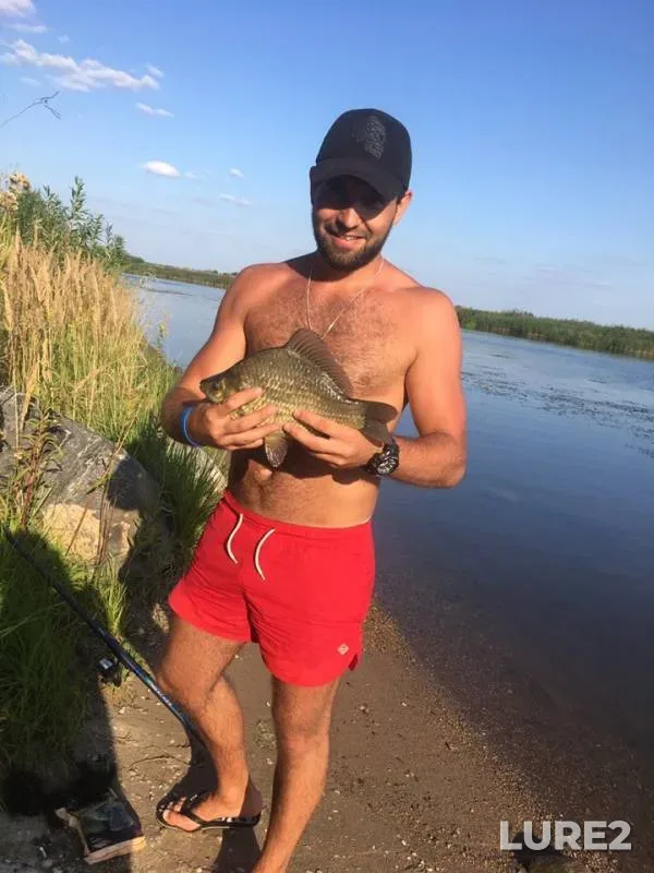 Crucian carp — Pregolya, Aug 25, 2019