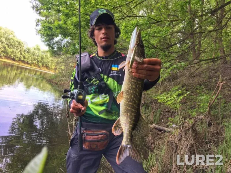 Perch, Pike — Desna, May 14, 2019