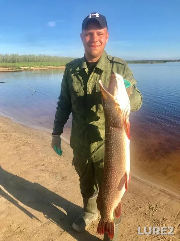 Pike — Yegoshikha, Oct 23, 2019